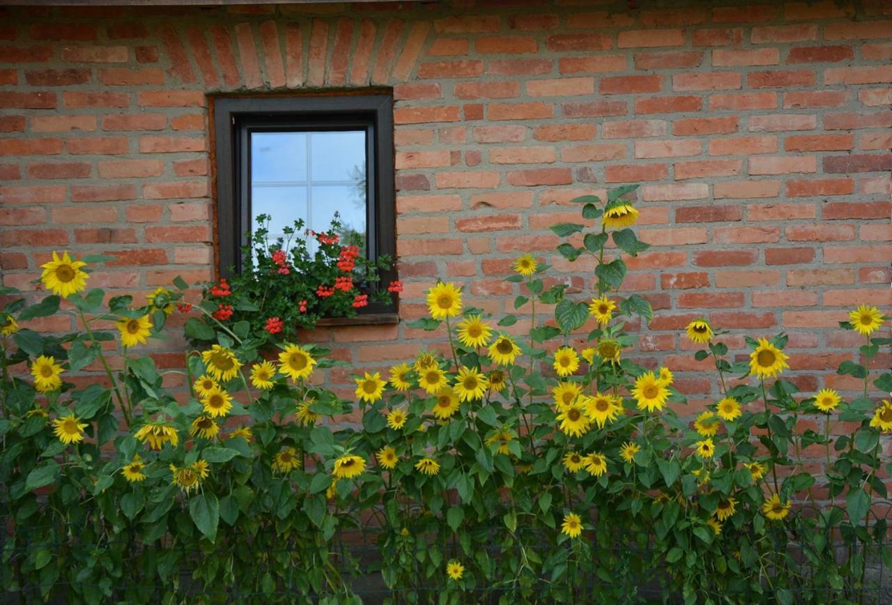 Agro Przy Kominku Rozogi Экстерьер фото